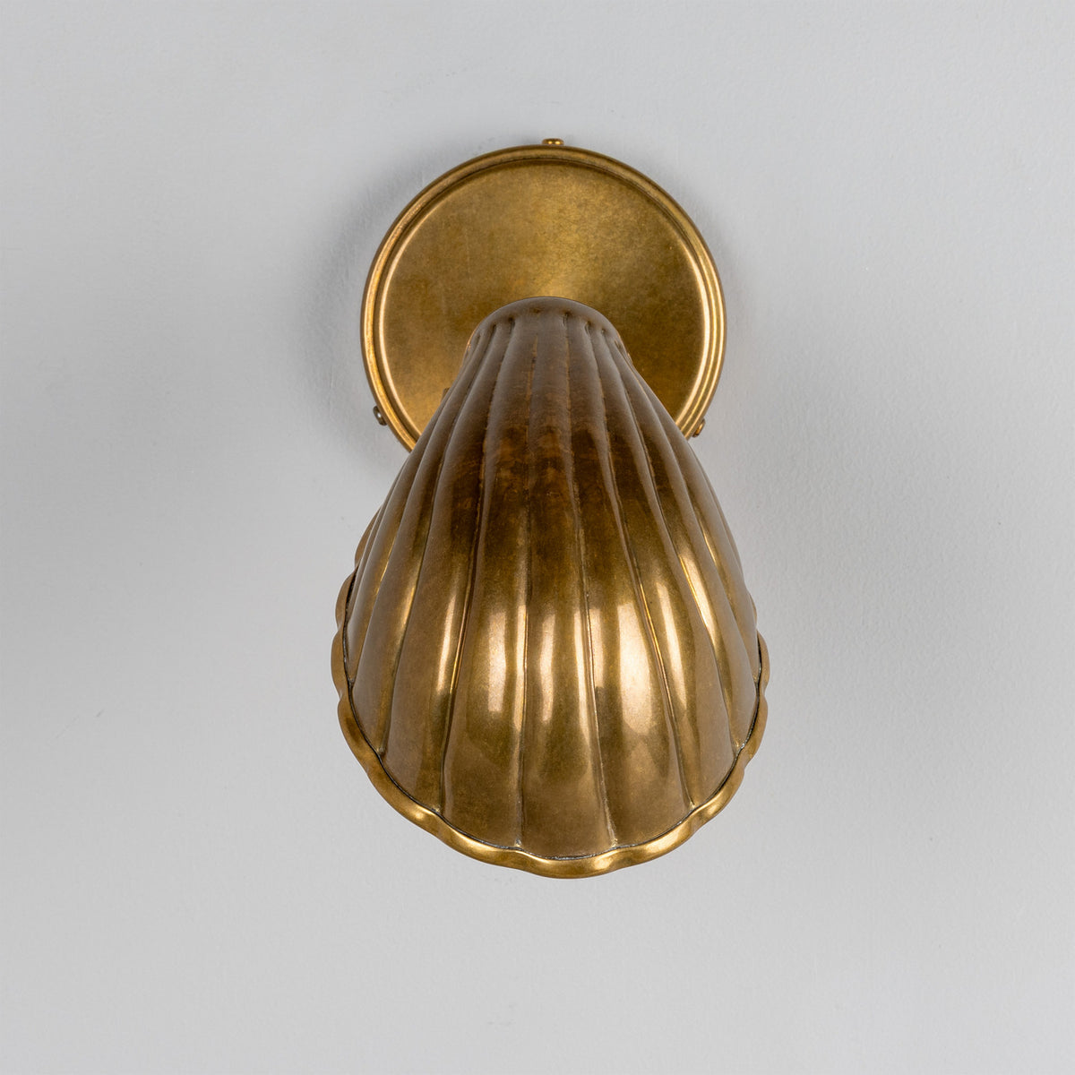 Shell Wall Sconce