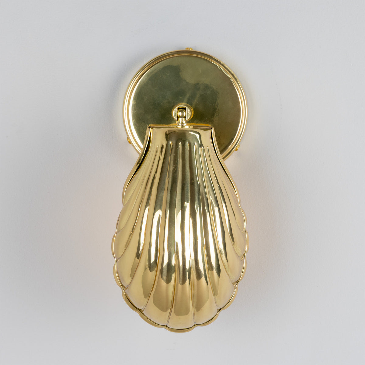 Shell One Light Wall Sconce in Adjustable