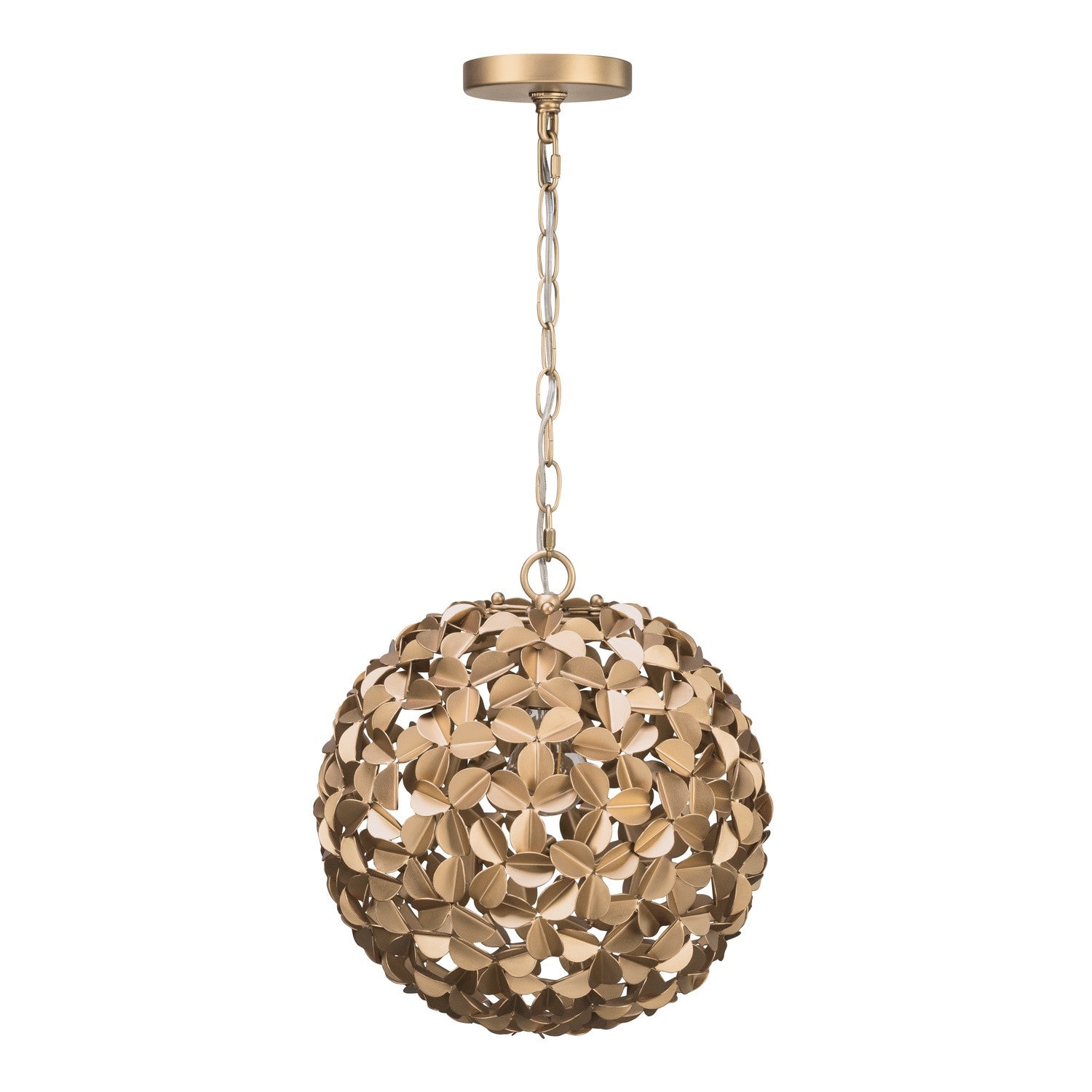Cora One Light Chandelier in Soft Gold
