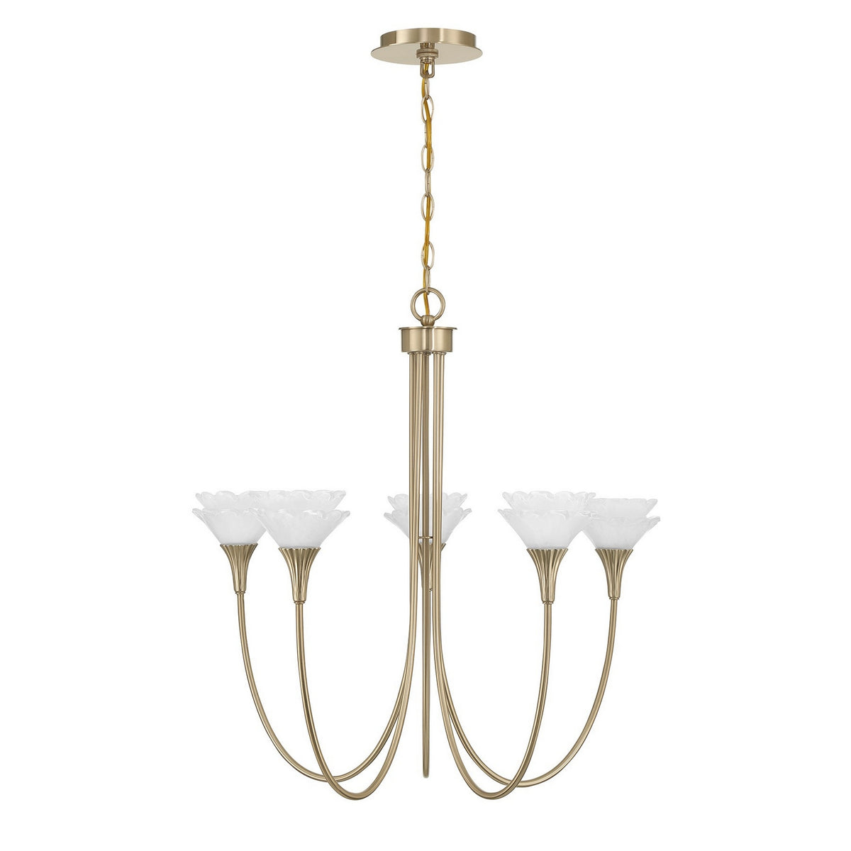 Florena Five Light Chandelier in Noble Brass