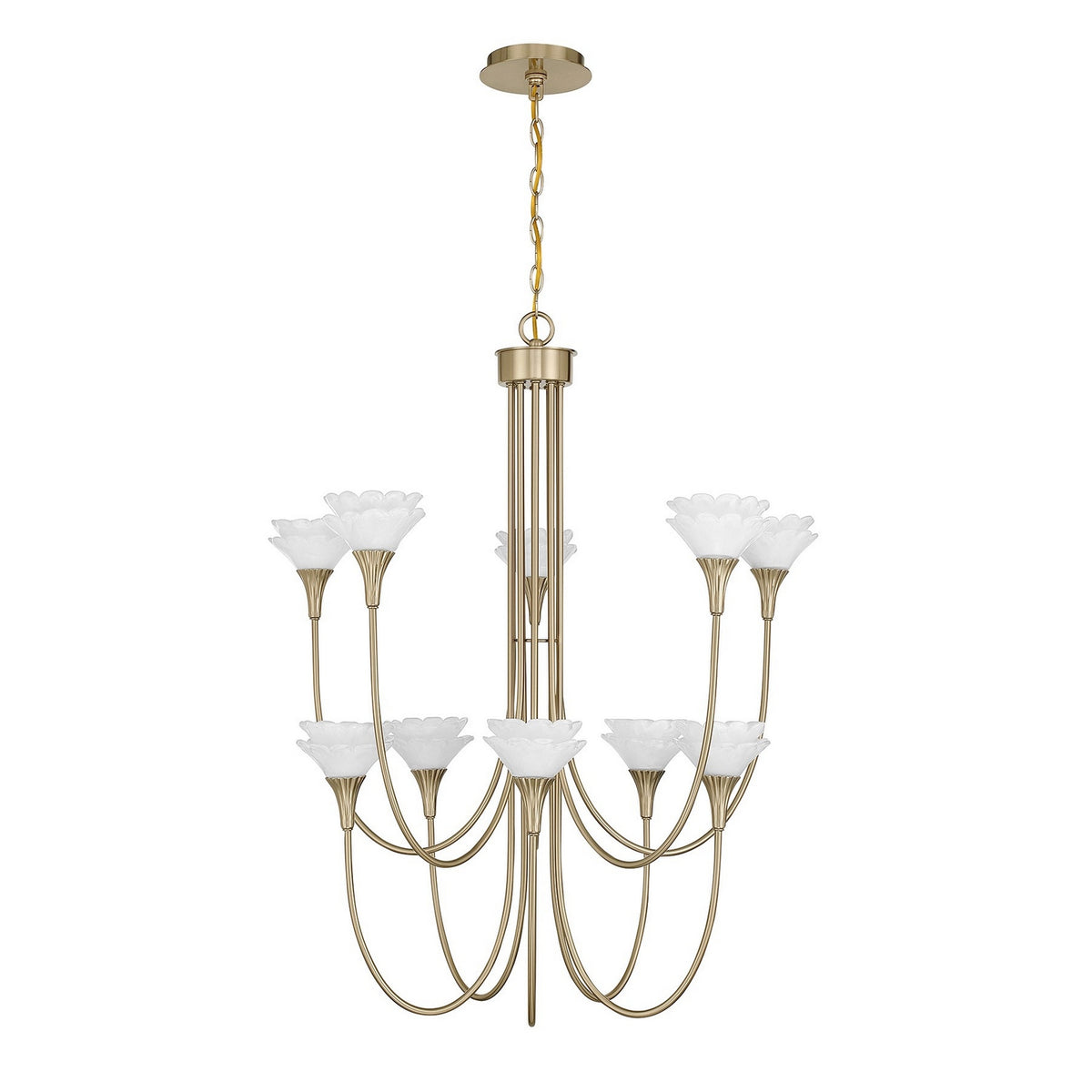 Florena Ten Light Chandelier in Noble Brass