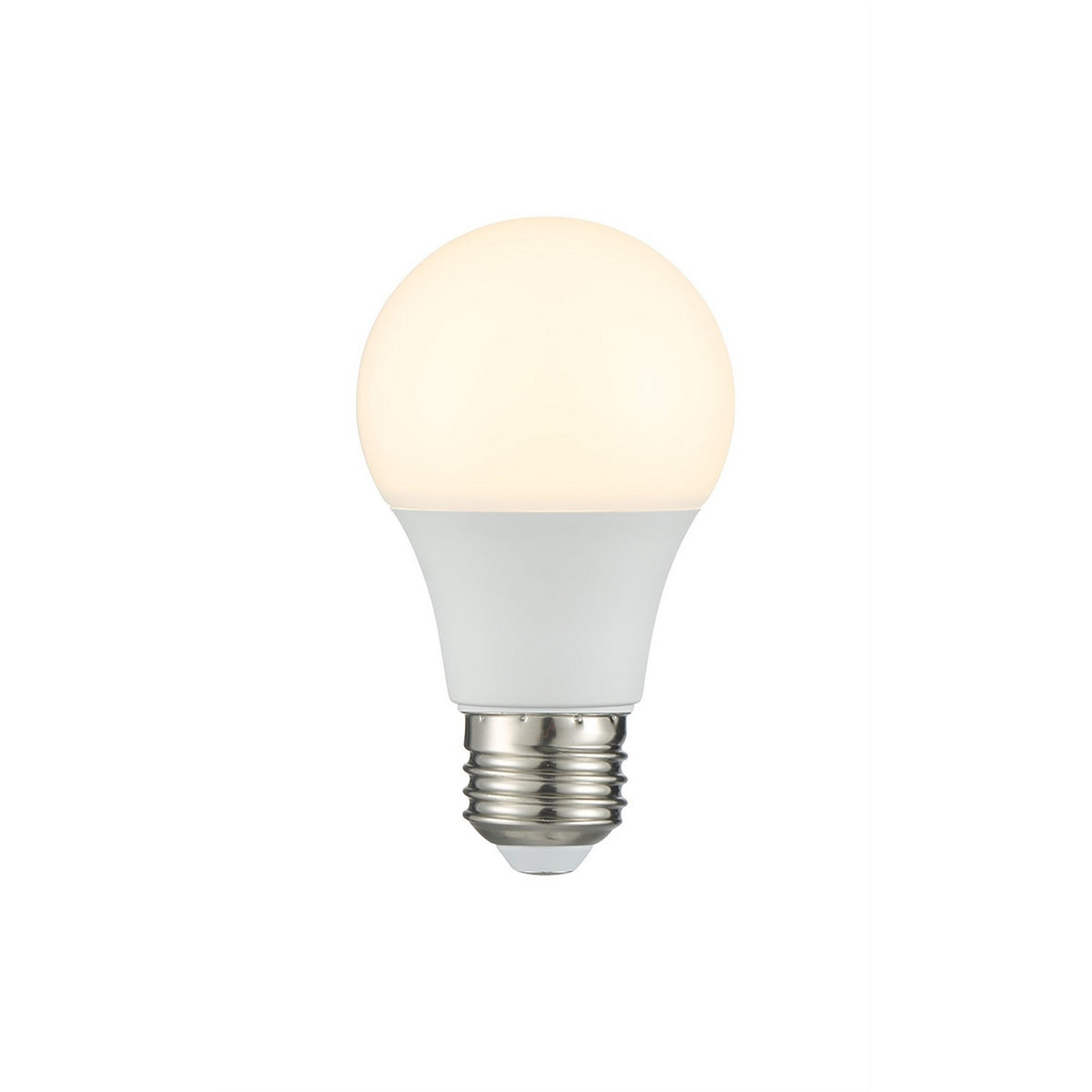 Light Bulb in Frost