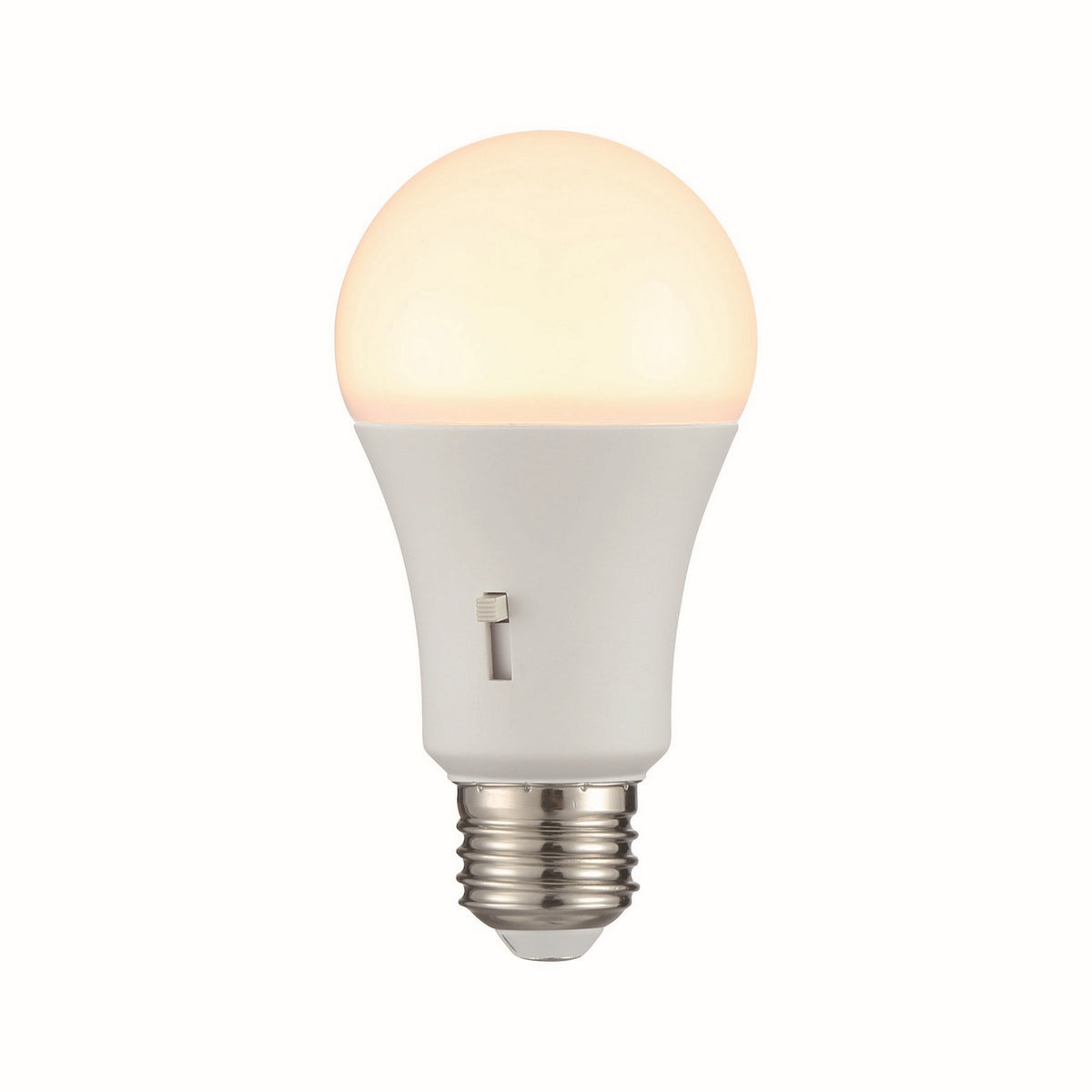 Light Bulb in Frost